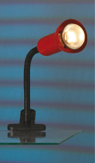 Лампа настольная LUSSOLE LST-4534-01
