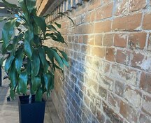 Коммерческое помещение