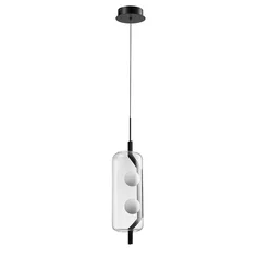 Подвес ARTE LAMP Geneva A2341SP-2BK