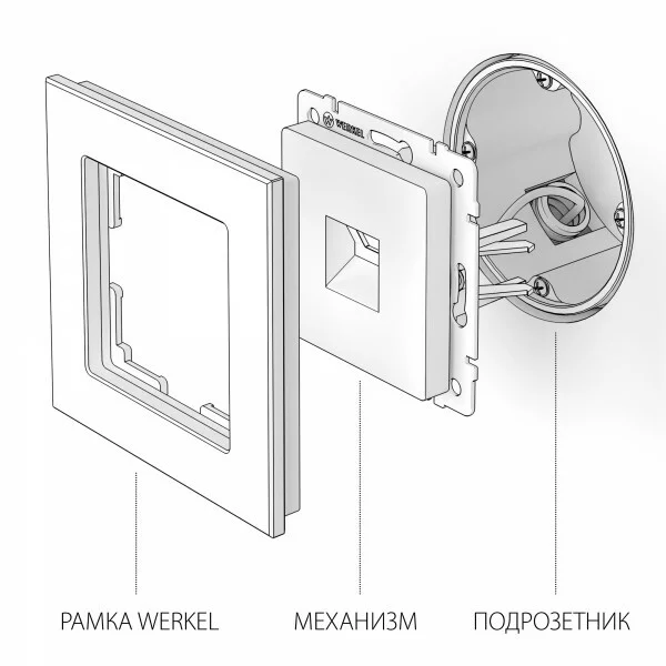 Werkel W1181011  Розетка Ethernet RJ-45 (шампань)