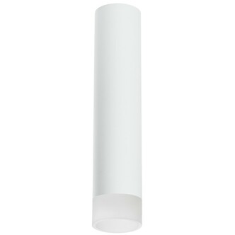 Точечный светильник LIGHTSTAR Rullo R49631