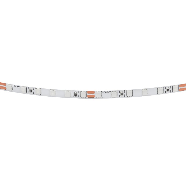 LIGHTSTAR 420515 Лента LIGHTSTAR LED 24V 12W 120leds M 1600 LM M blue IP20 1шт = 5м