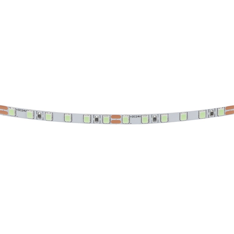 LIGHTSTAR 420516 Лента LIGHTSTAR LED 24V 12W 120leds M 1600 LM M ice blue IP20 1шт = 5м