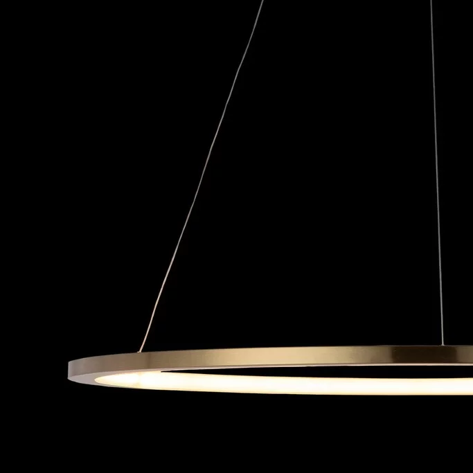 Подвес LOFT IT RING 10014L