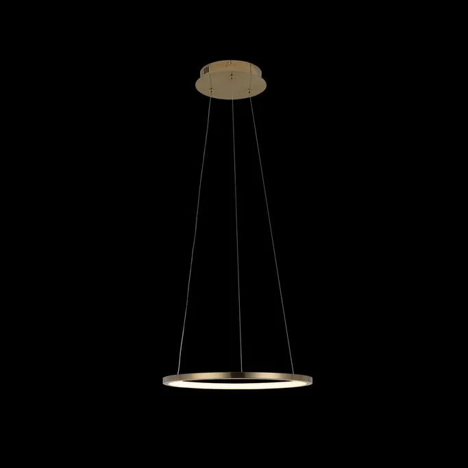 Подвес LOFT IT RING 10014S