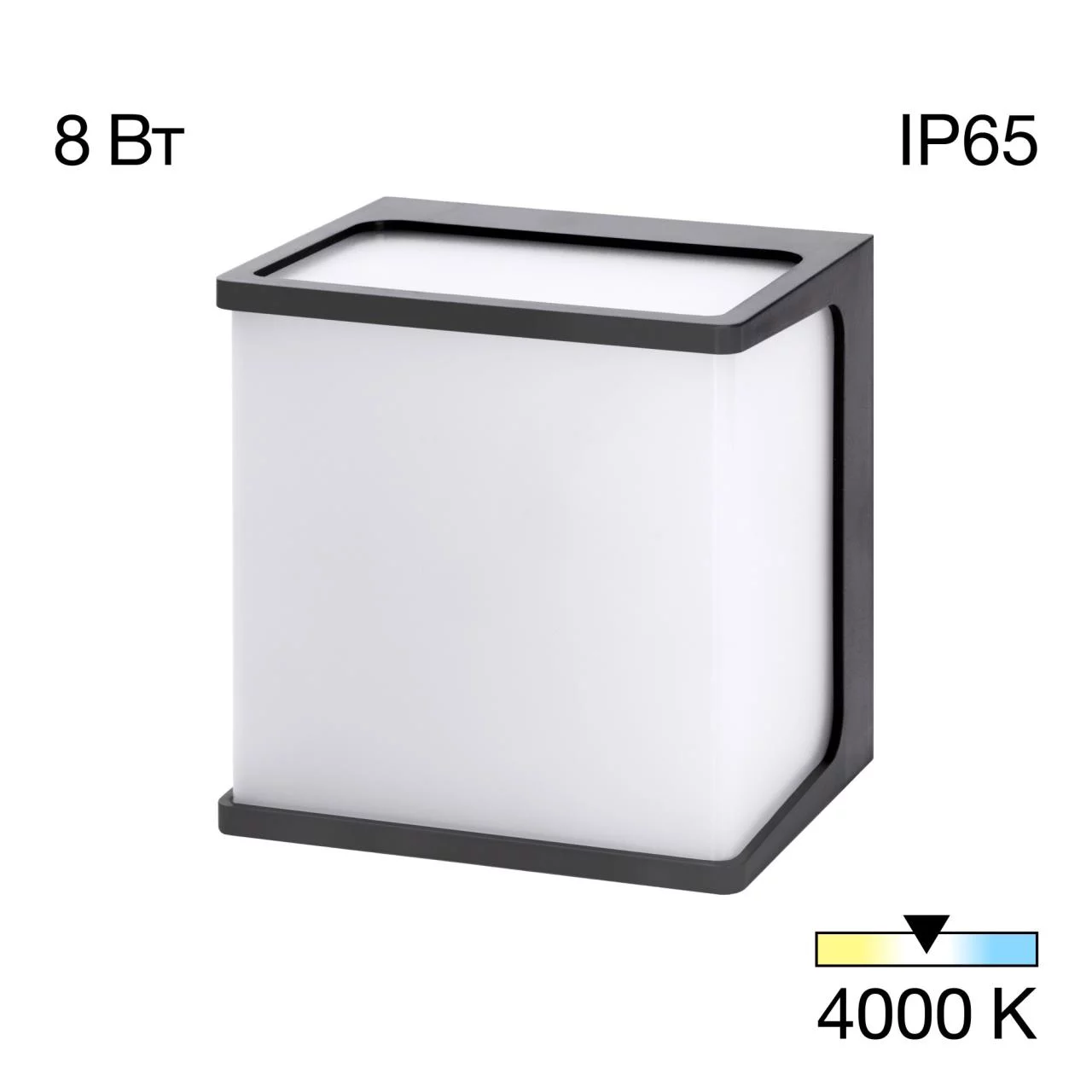 Уличный светильник CITILUX DOMUS CLU0801