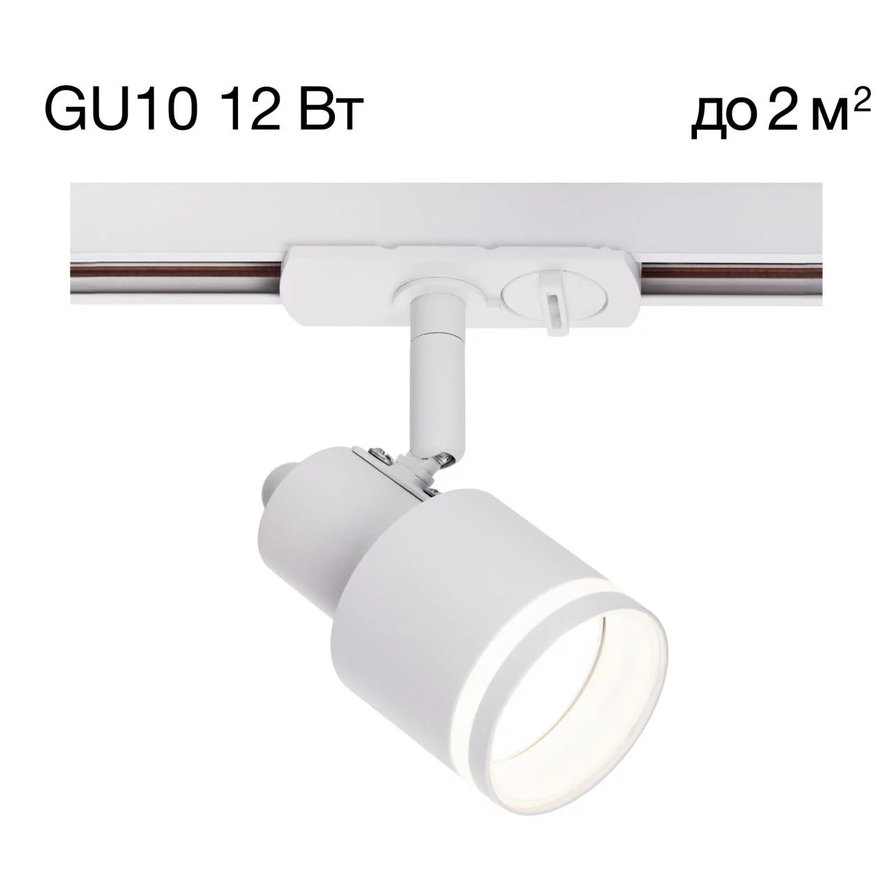 CITILUX CL565T10 Bruno Белый Св-к Трековый