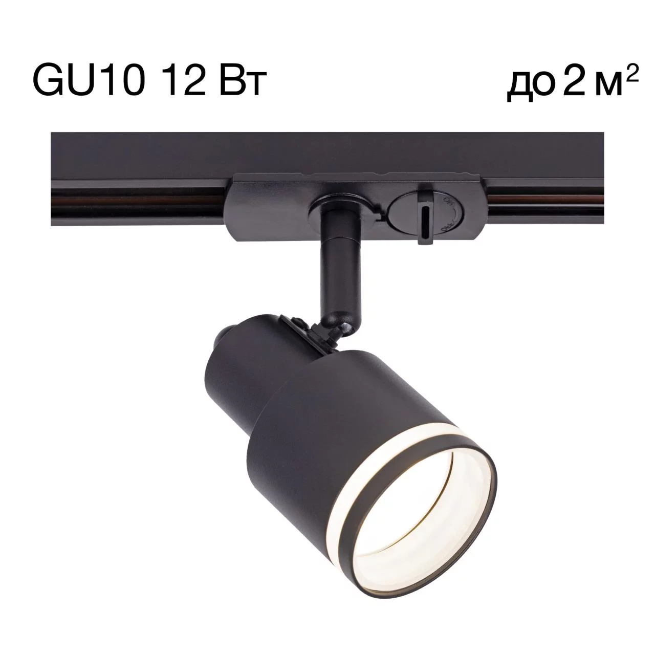 CITILUX CL565T11 Bruno Черный Св-к Трековый