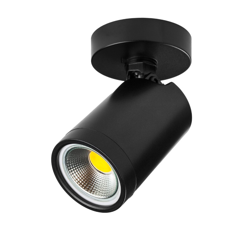 Точечный светильник LIGHTSTAR Rullo 213407