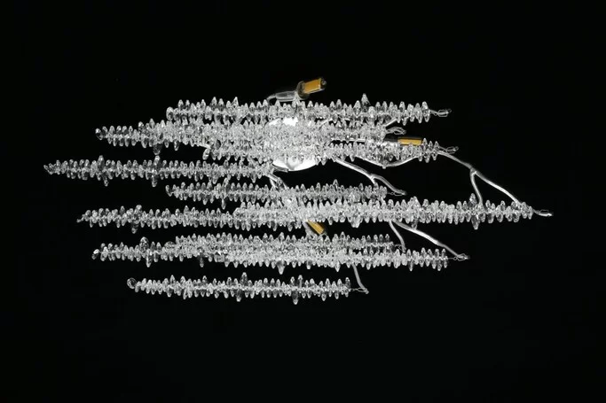 Бра Aployt Paulina APL.848.11.03