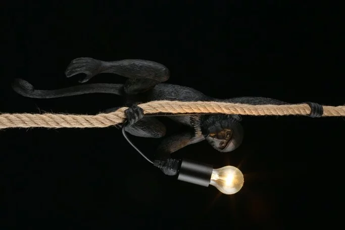 Подвес Aployt MAGALI APL.309.16.01