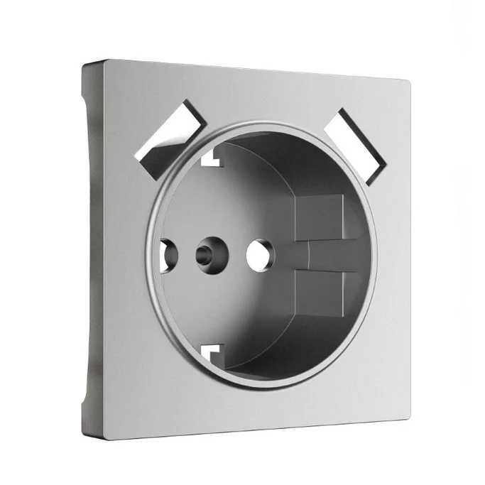 Werkel W1179565  Накладка для розетки USB  (серебряный матовый)