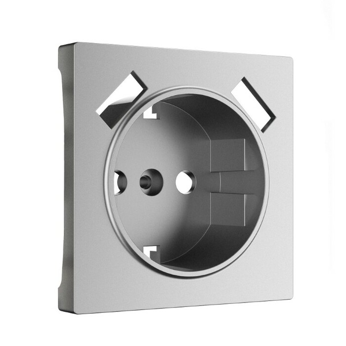 Werkel W1179565  Накладка для розетки USB  (серебряный матовый)