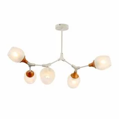 Люстра EVOLUCE CIOTOLLA SLE113502-05