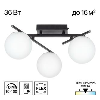 Люстра CITILUX DORSY CL223132
