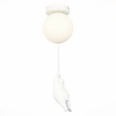 Люстра EVOLUCE MODENA SLE115402-01