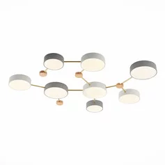 Люстра EVOLUCE DOSSENA SLE600102-08