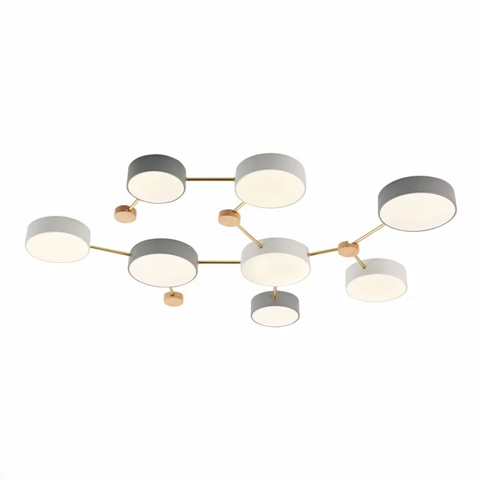 Люстра EVOLUCE DOSSENA SLE600102-08