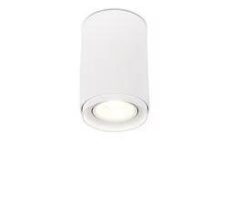 Точечный светильник SIMPLE STORY 2065-1CLW
