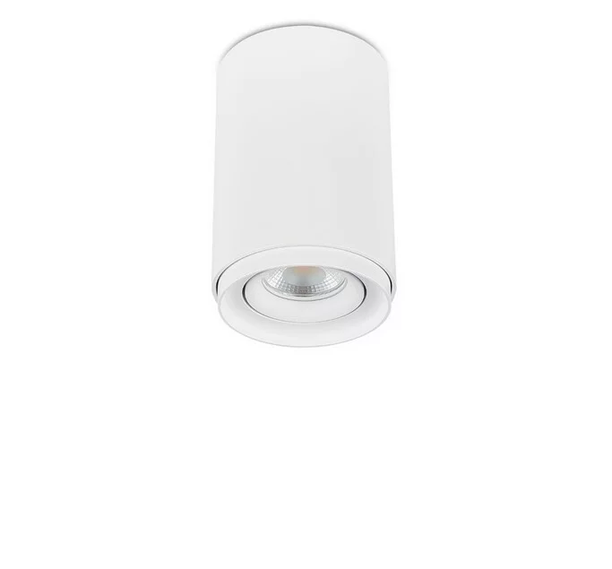 Точечный светильник SIMPLE STORY 2065-1CLW