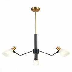 Люстра EVOLUCE Lita SLE205403-03