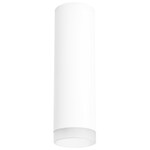 Точечный светильник LIGHTSTAR Rullo R649680