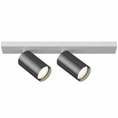 Точечный светильник MAYTONI FOCUS S C051CL-2WGF