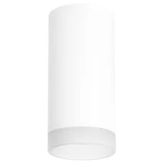 Точечный светильник LIGHTSTAR Rullo R648680