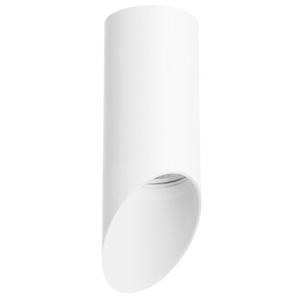 Точечный светильник LIGHTSTAR Rullo R43636