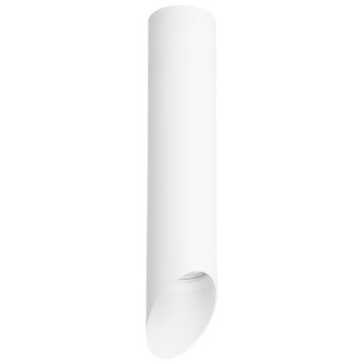 Точечный светильник LIGHTSTAR Rullo R49636