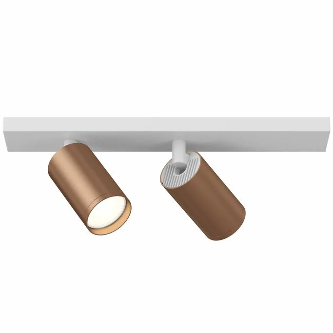 Точечный светильник MAYTONI FOCUS S C051CL-2WC