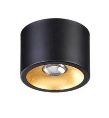 Точечный светильник ODEON LIGHT GLASGOW 6669/1CL