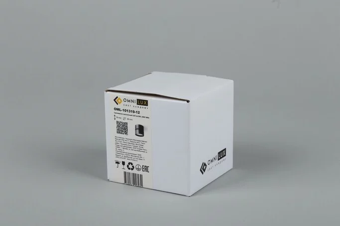 Точечный светильник OMNILUX Lenno OML-101319-12