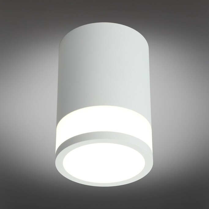 Точечный светильник OMNILUX Orolli OML-101509-12