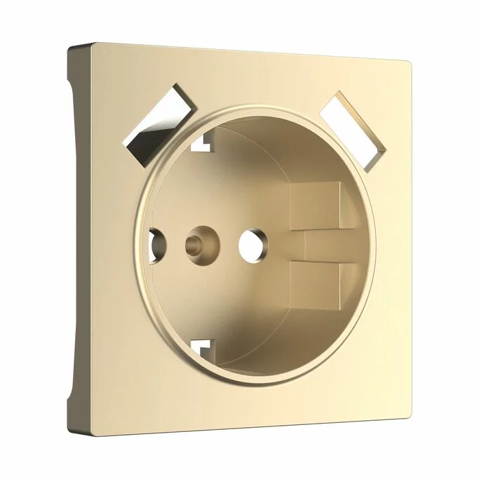 Werkel W1179511  Накладка для розетки USB (шампань)