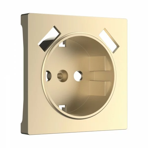 Werkel W1179511  Накладка для розетки USB (шампань)