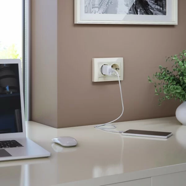 Werkel W1172003  Розетка двойная с заземлением (слоновая кость)