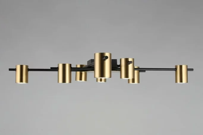 Люстра Aployt Elwisia APL.633.07.08