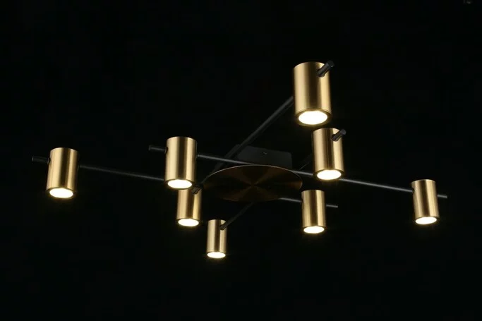 Люстра Aployt Elwisia APL.633.07.08