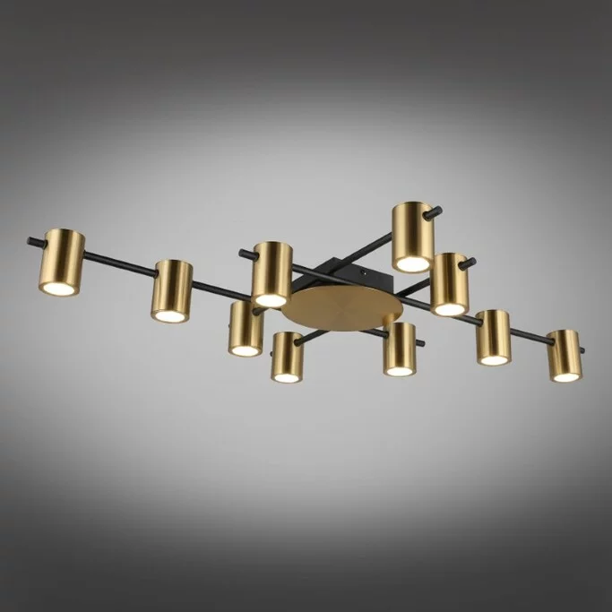 Люстра Aployt Elwisia APL.633.07.10