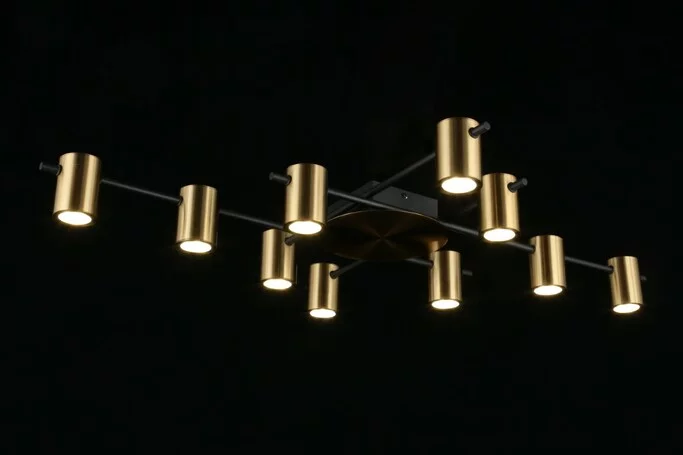 Люстра Aployt Elwisia APL.633.07.10