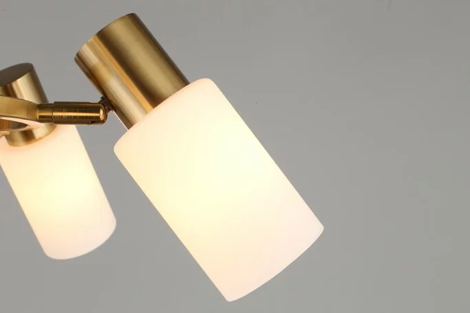 Люстра OMNILUX Ales OML-69103-06