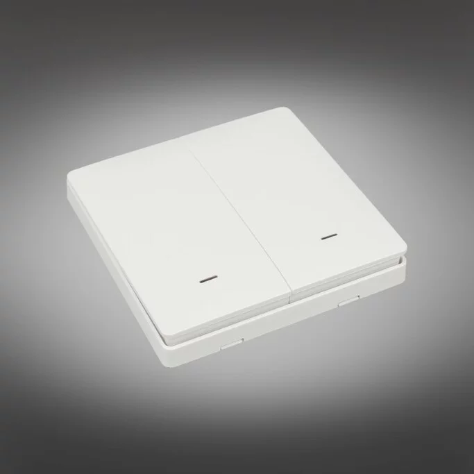 Aployt APL.0190.00.02/RT-A-ZS-EU2 Выключатель двухклавишный