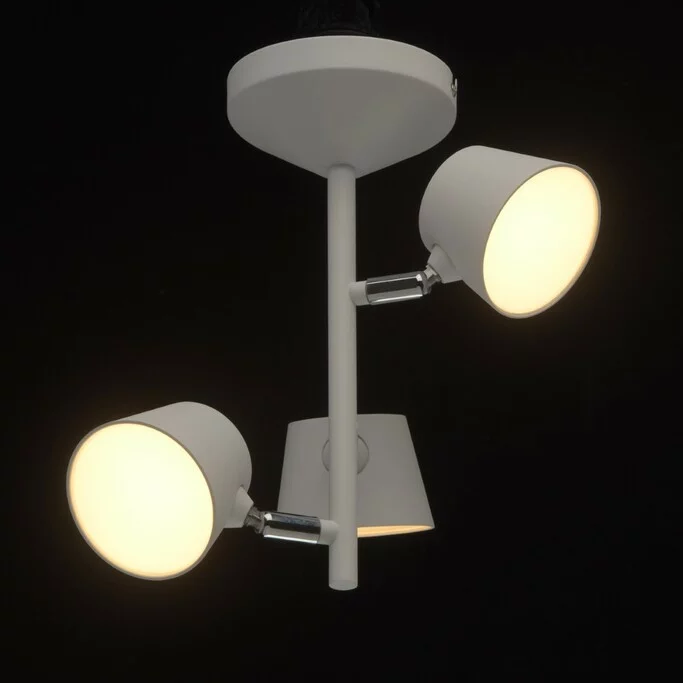 Люстра MW-LIGHT Хартвиг 717010903