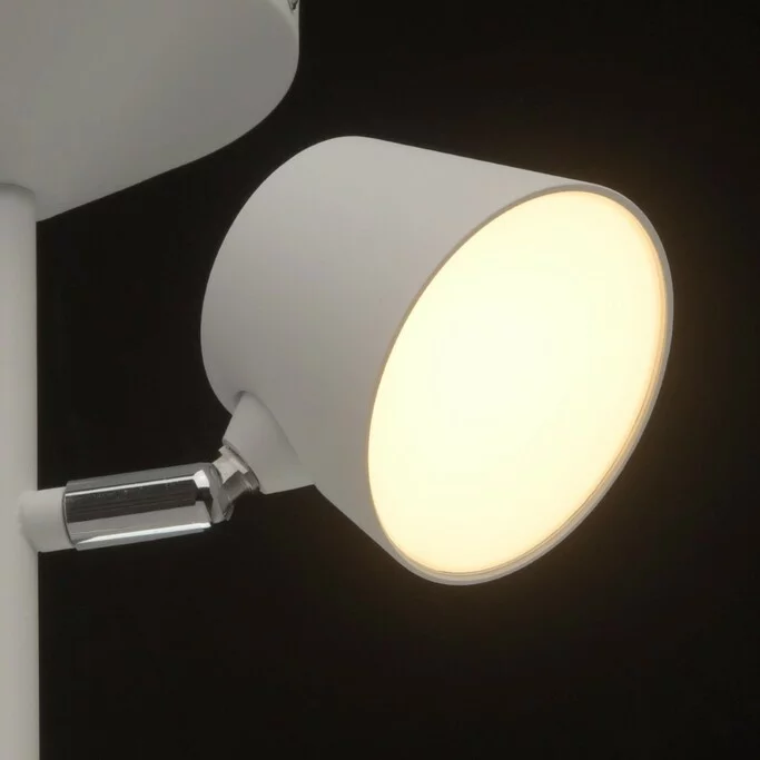 Люстра MW-LIGHT Хартвиг 717010903