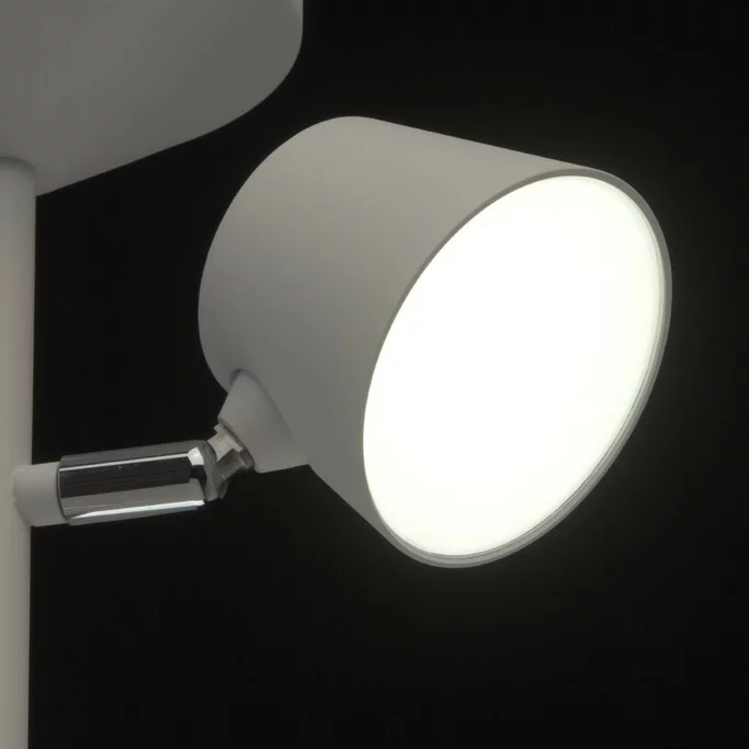 Люстра MW-LIGHT Хартвиг 717010903