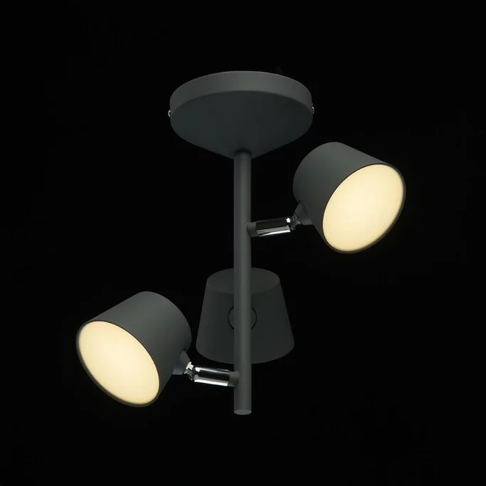 Люстра MW-LIGHT Хартвиг 717011003