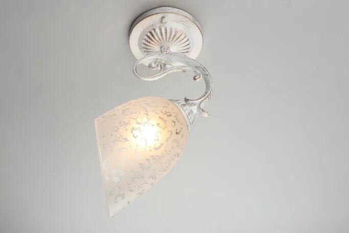 Бра OMNILUX Palaia OML-64811-01