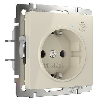 Werkel W1171603  Розетка Wi-Fi (слоновая кость)