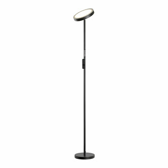 Торшер LUSSOLE CARMEL LSP-0901-SE